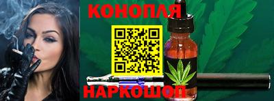 Альфа ПВП Краснознаменск
