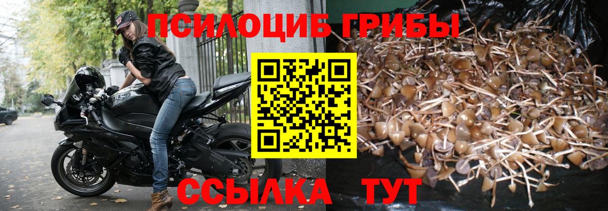 Галлюциногенные грибы GOLDEN TEACHER Корсаков
